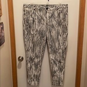 Lane Bryant pants